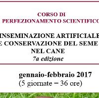 Corso di Inseminazione artificiale e conservazione del seme nel cane