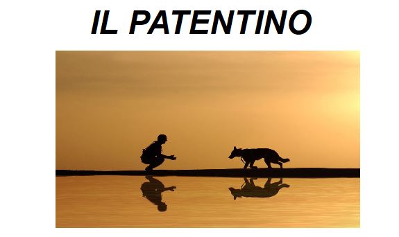 Corso formativo per i proprietari di cani